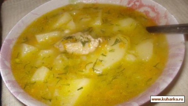 Картофельный Суп С Курицей Фото