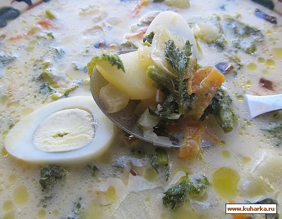 Рецепт Сырный крапивный суп