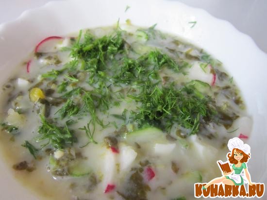 Рецепт Холодный суп со щавелем и кефиром